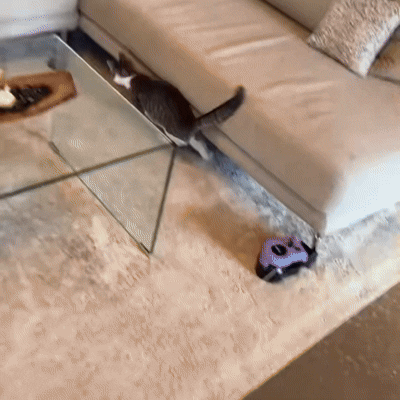 Interactive Running Cat Toy