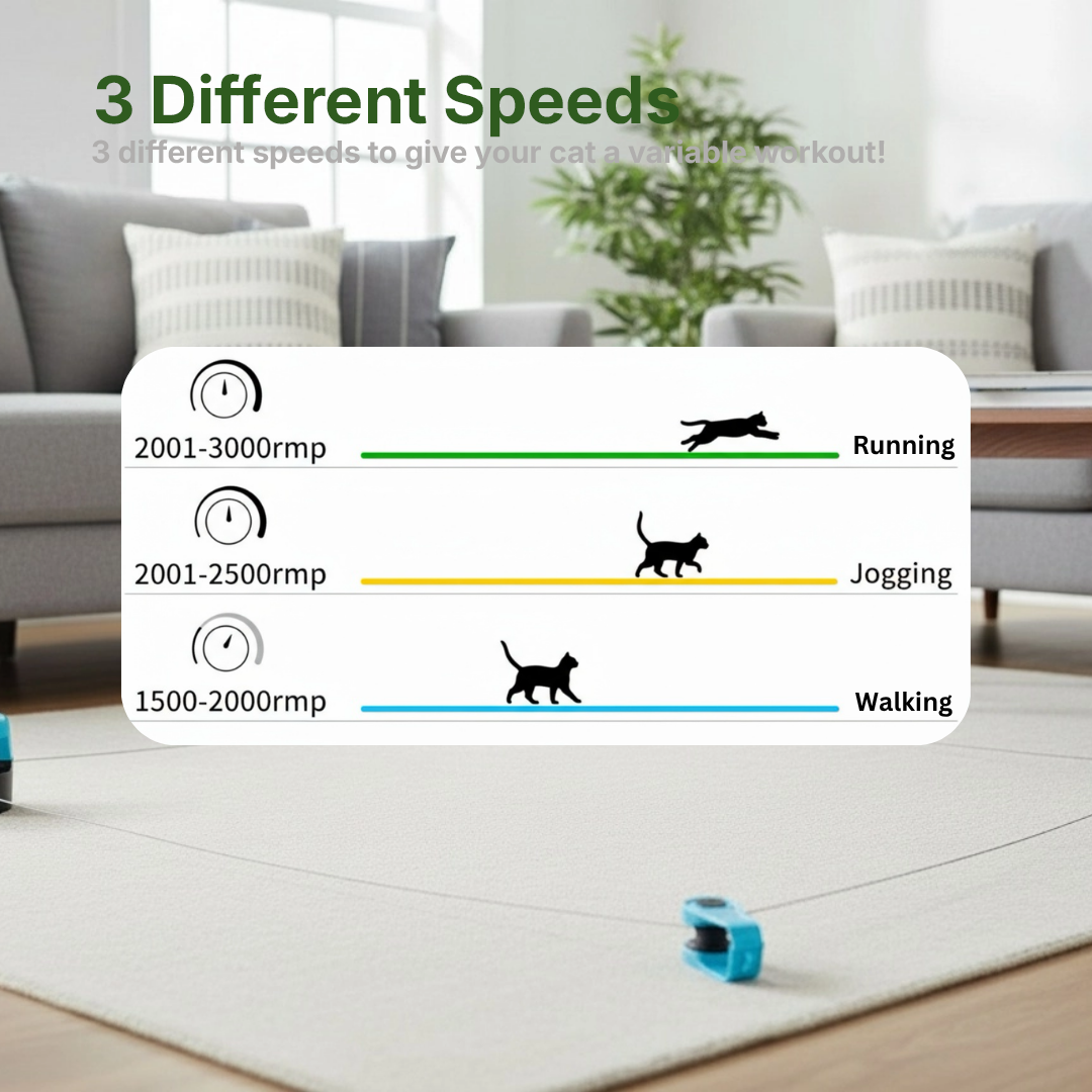 Interactive Running Cat Toy