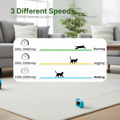 Interactive Running Cat Toy