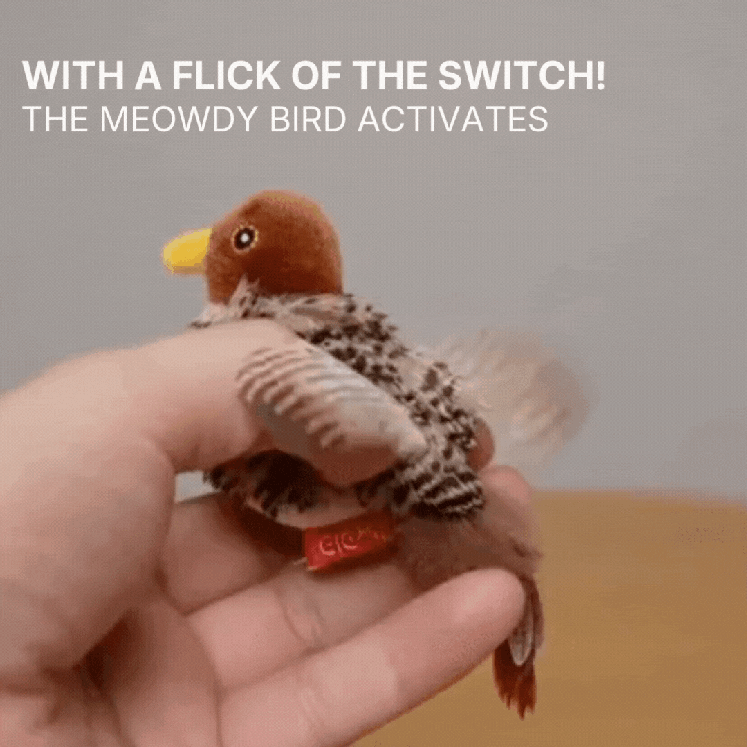 Flying Bird Cat Toy
