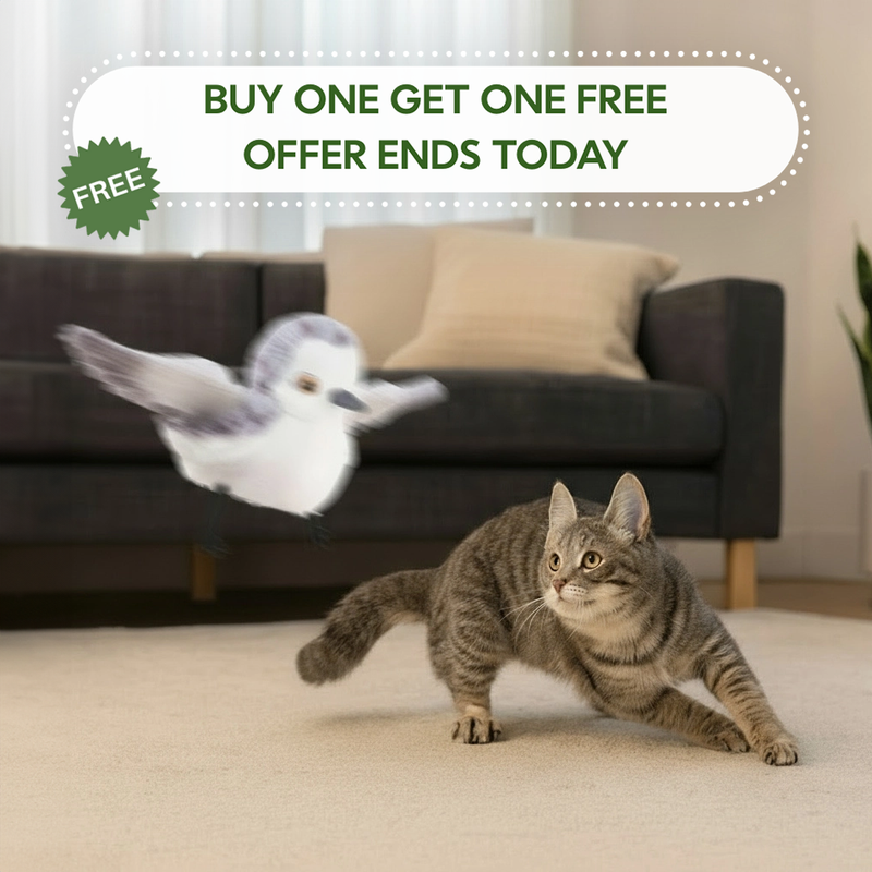 Satisfy Your Cat’s Instinct to Hunt!