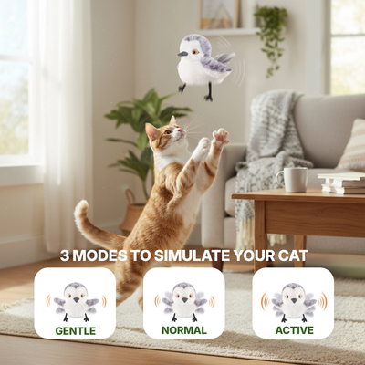 Flapping Bird Cat Toy
