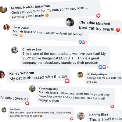 Interactive Running Cat Toy