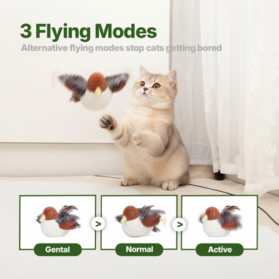 Flying Bird Cat Toy